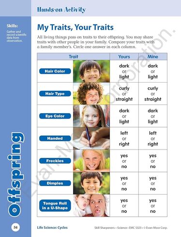 Even-Moor Workbook Skill Sharpeners Science, Grade 3 in Saudi Arabia