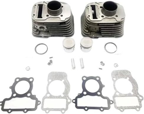 49 مللي متر مجموعة اسطوانات الدراجة النارية متوافقة مع Virago XV250 V 250 QJ250-H QJ250-L QJ250-J 250 in Saudi Arabia