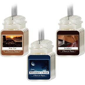 12 Pcs Car Freshener Paper Scented Hanging Car Accessories Air Fresheners Beach Vacay Pink Sands Sun Sand for Interior Decor Bathroom Hanging Ornaments in Kuwait