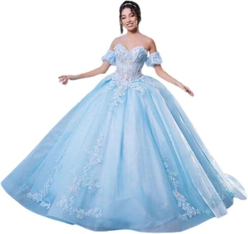 Quinceanera، Sweet 16 & حفلة موسيقية - فستان شبكي لامع مع مشد خلفي مزين بالزهور ثلاثية الأبعاد - فساتين السهرة الرسمية in Saudi Arabia