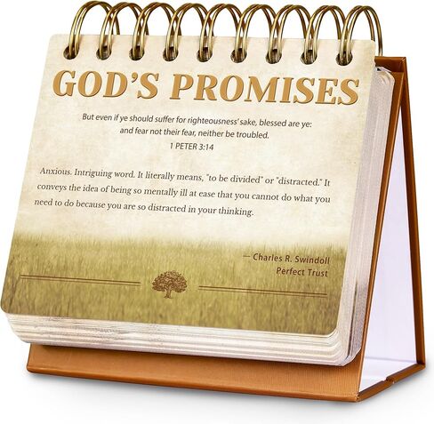 التقويم 2024-2025 - تقويم المكتب 2024-2025، يوليو 2024 - ديسمبر 2025، 18 شهريًا 2024-2025 تقويم المكتب/الحائط، 16.9 بوصة × 11.9 بوصة، مع واقيات الزوايا، كتل مسطرة - الأوركيد in Kuwait