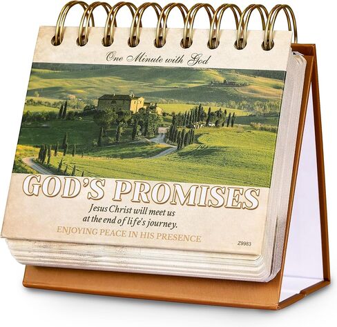 التقويم 2024-2025 - تقويم المكتب 2024-2025، يوليو 2024 - ديسمبر 2025، 18 شهريًا 2024-2025 تقويم المكتب/الحائط، 16.9 بوصة × 11.9 بوصة، مع واقيات الزوايا، كتل مسطرة - الأوركيد in Kuwait