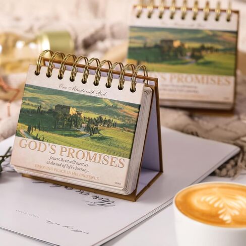 التقويم 2024-2025 - تقويم المكتب 2024-2025، يوليو 2024 - ديسمبر 2025، 18 شهريًا 2024-2025 تقويم المكتب/الحائط، 16.9 بوصة × 11.9 بوصة، مع واقيات الزوايا، كتل مسطرة - الأوركيد in Kuwait