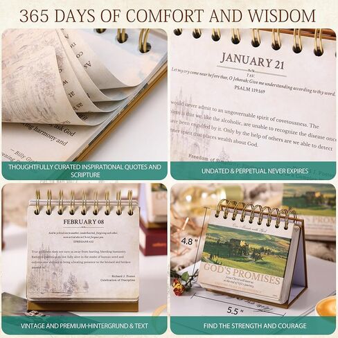 التقويم 2024-2025 - تقويم المكتب 2024-2025، يوليو 2024 - ديسمبر 2025، 18 شهريًا 2024-2025 تقويم المكتب/الحائط، 16.9 بوصة × 11.9 بوصة، مع واقيات الزوايا، كتل مسطرة - الأوركيد in Kuwait