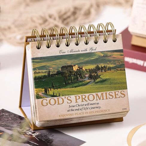 التقويم 2024-2025 - تقويم المكتب 2024-2025، يوليو 2024 - ديسمبر 2025، 18 شهريًا 2024-2025 تقويم المكتب/الحائط، 16.9 بوصة × 11.9 بوصة، مع واقيات الزوايا، كتل مسطرة - الأوركيد in Kuwait