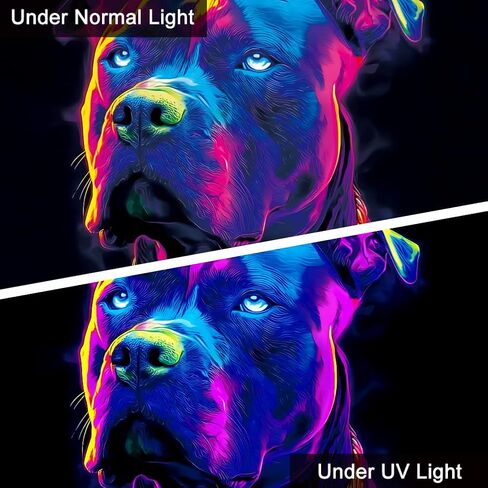 WEBEEDY Blacklight نسيج النيون البلدغ الجدار شنقا الأشعة فوق البنفسجية رد الفعل الكلب طباعة نسيج الحيوان ديكور المنزل لغرفة النوم غرفة المعيشة النوم جدار الفن خلفية الحزب، 59x51 بوصة / 150x130 سم in Saudi Arabia