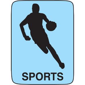 Classification Labels with Permanent Adhesive Sports 250 per Roll in Kuwait