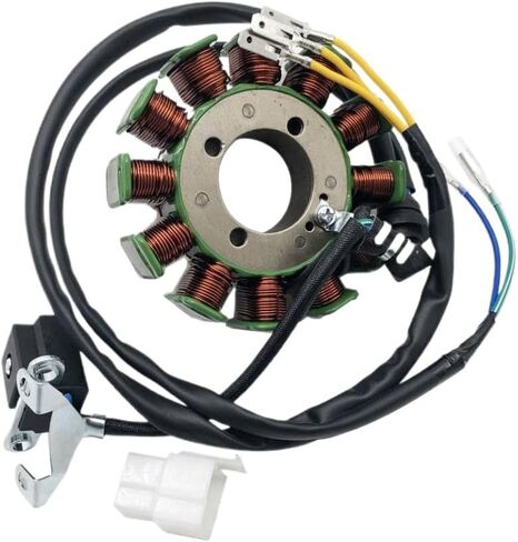 12 Coils 5 Wires Ignition Stator Magneto 31101-100-0000 Compatible With Haili SP307-J XY250ST-9 STIXE 250 in Saudi Arabia