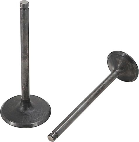 8x Exhaust Valves & 8x Intake Valves Compatible with 04-14 Chevy GMC Hummer Isuzu 4.8 5.3 6.0 Replace 12550457 12550458 12563064 12563063 12555906 in Saudi Arabia