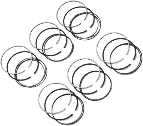 Engine Piston Rings Set 80mm STD Fit 2.0 L Compatible With 320i 520i Z3 E36 E46 E39 M50B20 M52B20 2.0L L6 GAS DOHC 11251437141 in Saudi Arabia