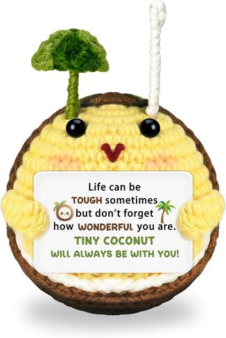 Christmas Birthday Gifts for Women Men Mini Handmade Crochet Coconut Emotional Inspirational Support Gift for Girlfriend Wife Husband Friends Back to School Coworkers Desk Home Fall Decor Thanksgiving in Saudi Arabia