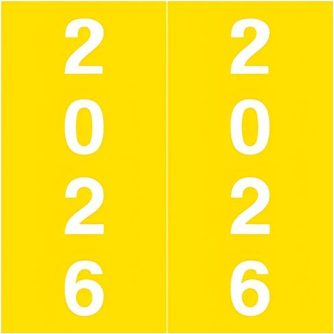 2025 Year Stickers, Doctor Stuff 2025 Chart Stickers, Black Color Coded, IFC Style, USA Made Year Labels for X-Ray Jackets, 500/Roll, 1 Roll, 1-7/8" x 1-7/8" in Saudi Arabia