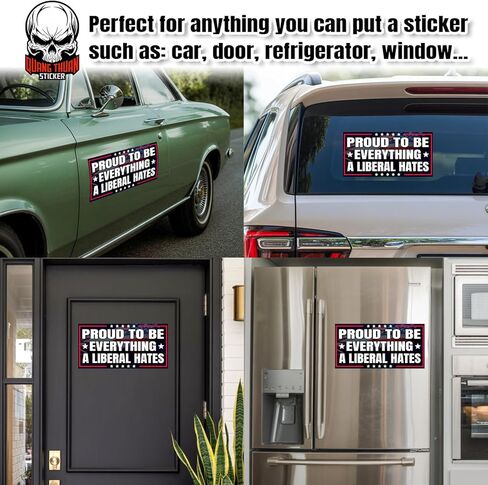 (4Pcs-7.5x3.75in) Proud to Be Everything A Liberal Hates Bumper Stickers Warning Does Not Play Well with Liberals Waterproof Vinyl Stickers for Doors Trucks Cars in Saudi Arabia