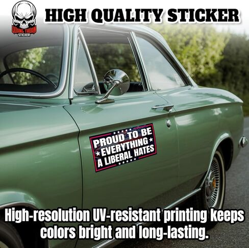 (4Pcs-7.5x3.75in) Proud to Be Everything A Liberal Hates Bumper Stickers Warning Does Not Play Well with Liberals Waterproof Vinyl Stickers for Doors Trucks Cars in Saudi Arabia
