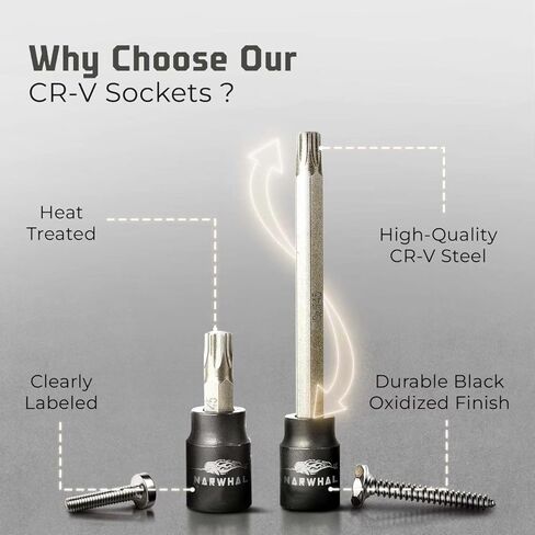 T50 Torx Bit Socket - 3/8 Drive - 2 Pack Includes 3.5" Long & Short 2" Bit - Industrial Grade S2 Alloy Steel in Kuwait