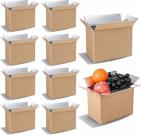 10 Pcs Insulated Shipping Boxes, 8.7" x 4.5" x 6.3" Cold Chill Double Insulated Carton with Aluminum Foil Liner for Frozen and Hot Food Reusable Foam Mailing Box for Travel Mailing Packing in Saudi Arabia