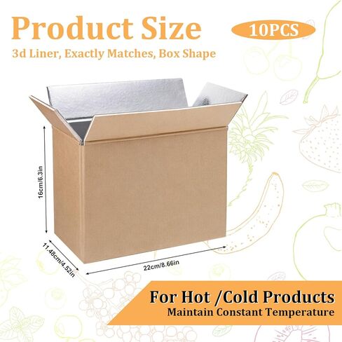 10 Pcs Insulated Shipping Boxes, 8.7" x 4.5" x 6.3" Cold Chill Double Insulated Carton with Aluminum Foil Liner for Frozen and Hot Food Reusable Foam Mailing Box for Travel Mailing Packing in Saudi Arabia