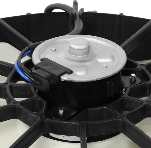 Auto Dynasty HO3115111 Factory Style Radiator Cooling Fan Assembly Compatible with Honda Accord CL TL V6 1998-2003, 12V, Black in Saudi Arabia