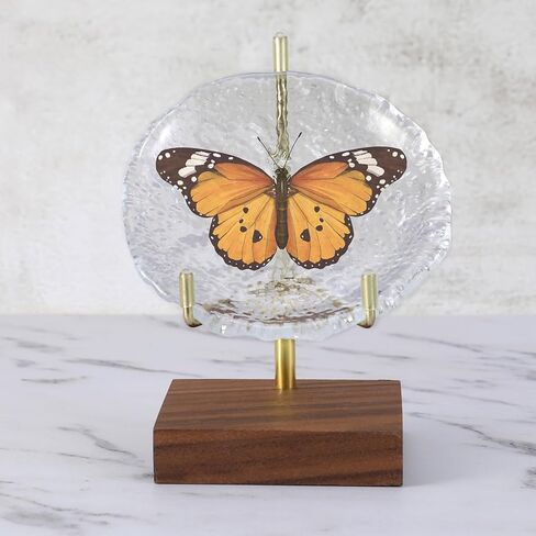 Adjustable Metal Arms Display Stand, Small Display Easel Holder with Wooden Base for Plate, Rock, Picture, Crystal, Wreath, Coral in Kuwait