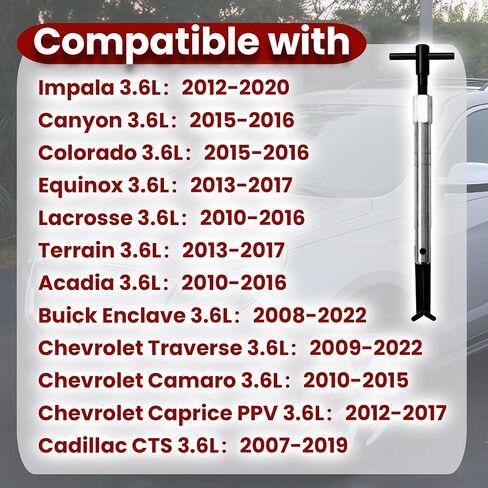 مجموعة أدوات سلسلة التوقيت EN-48313-1 من قطعتين متوافقة مع محرك 3.6 لتر GM كاديلاك بويك ساتورن بونتياك شيفروليه‌ تشيفي ‌كامارو إمبالا كانيون كولورادو إكوينوكس لاكروس تيرين‌ أكاديا إنكليف in Kuwait
