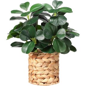 نباتات صناعية ديكور الخضرة في الأماكن المغلقة والنباتات العصارية المزيفة والنباتات المزيفة بوعاء مضفرة، ديكور متعدد الوظائف للحمامات على طراز المزرعة وغرف النوم والمطابخ والمكاتب وطاولات الطعام in Kuwait