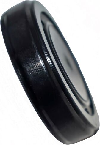 24351-2GGA1 Engine Camshaft Intake Plug, for Hyundai Azera Grandeur Sonata Santa Fe Sport, for Kia Optima Sorento Sportage, Replaces 24351-2GGB0 243512GGA0 in Kuwait