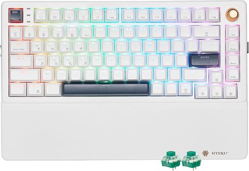 لوحة مفاتيح ميكانيكية لاسلكية HEXGEARS WarpSpeed ​​E4 Pro، بلوتوث، 2.4 جيجا هرتز، USB-C، قابلة للتبديل السريع، مسند معصم مغناطيسي، لوحة مفاتيح ألعاب RGB، مفاتيح صندوق Kailh مسبقة التشحيم، أغطية مفاتيح شفافة PBT، خطية in Kuwait