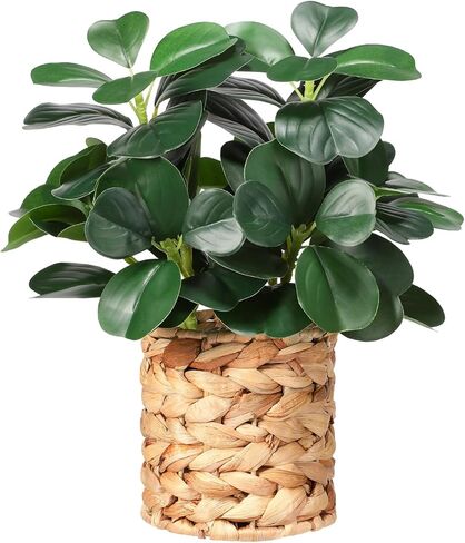 نباتات صناعية ديكور الخضرة في الأماكن المغلقة والنباتات العصارية المزيفة والنباتات المزيفة بوعاء مضفرة، ديكور متعدد الوظائف للحمامات على طراز المزرعة وغرف النوم والمطابخ والمكاتب وطاولات الطعام in Kuwait