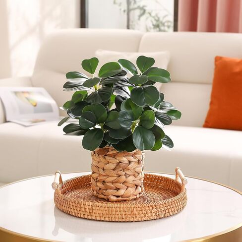 نباتات صناعية ديكور الخضرة في الأماكن المغلقة والنباتات العصارية المزيفة والنباتات المزيفة بوعاء مضفرة، ديكور متعدد الوظائف للحمامات على طراز المزرعة وغرف النوم والمطابخ والمكاتب وطاولات الطعام in Kuwait