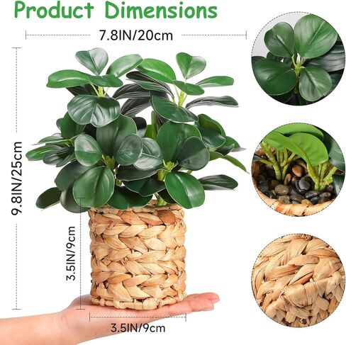 نباتات صناعية ديكور الخضرة في الأماكن المغلقة والنباتات العصارية المزيفة والنباتات المزيفة بوعاء مضفرة، ديكور متعدد الوظائف للحمامات على طراز المزرعة وغرف النوم والمطابخ والمكاتب وطاولات الطعام in Kuwait