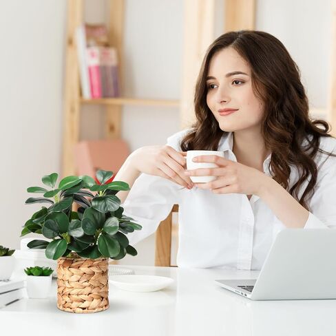 نباتات صناعية ديكور الخضرة في الأماكن المغلقة والنباتات العصارية المزيفة والنباتات المزيفة بوعاء مضفرة، ديكور متعدد الوظائف للحمامات على طراز المزرعة وغرف النوم والمطابخ والمكاتب وطاولات الطعام in Kuwait