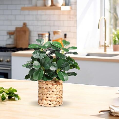 نباتات صناعية ديكور الخضرة في الأماكن المغلقة والنباتات العصارية المزيفة والنباتات المزيفة بوعاء مضفرة، ديكور متعدد الوظائف للحمامات على طراز المزرعة وغرف النوم والمطابخ والمكاتب وطاولات الطعام in Kuwait