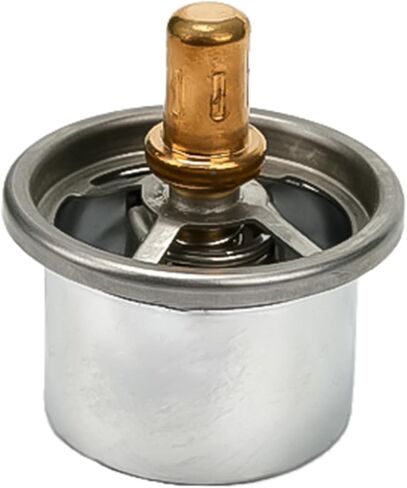 Diesel Engine Thermostat 3629205 3076489 201737 Fits for Cummins K19 K38 K50 KT19 L10 M11 N14 NT855 QSK 60 QSK19 QSK38f Engine in Kuwait