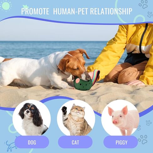 Fillable Dog Chew Toy, Treat Tray for Frozen Dog Food, DIY Fillable Rubber Treat Toy and Silicone Molds, Sturdy Chew Enrichment Stimulation Toys (Blue) in Saudi Arabia