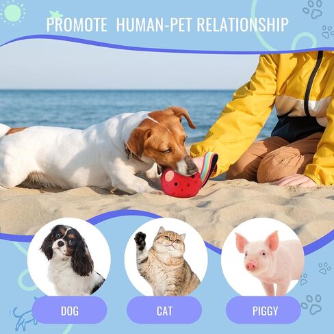 لعبة مضغ الكلب القابلة للملء من لاريموير، صينية علاج لأغذية الكلاب المجمدة، لعبة علاج مطاطية قابلة للملء بنفسك وقوالب سيليكون، ألعاب تحفيز مضغ قوية (أخضر) in Kuwait