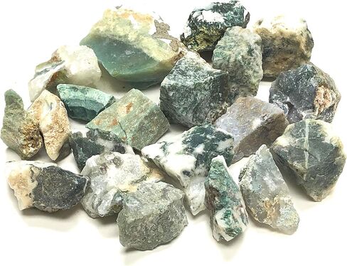 مجموعة Zentron Crystal: أحجار عقيق شجرة خشنة طبيعية، تتضمن حقيبة مخملية - قطع كبيرة مقاس 1 بوصة (رطل واحد) in Saudi Arabia