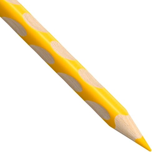 STABILO - Ergonomic Colouring Pencil for Left-handers - EASYcolors - 12 Pack with Sharpener - with 12 Special Colours in Saudi Arabia