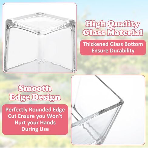 12 Pack 3 x 3 x 3 Inch Square Glass Vases, Clear Square Vases for Centerpieces, Glass Cube Flower Vases Short Vases for Candle Holder Events Wedding Party Home Decoration in Kuwait