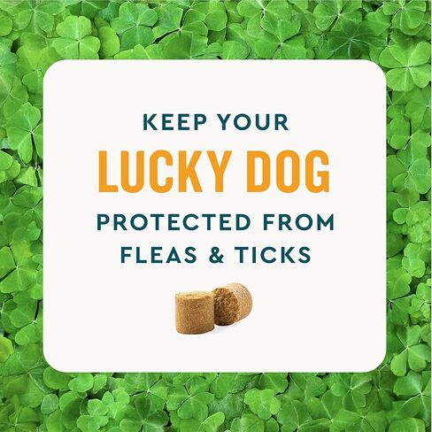 VetIQ Flea & Tick Support for Dogs, Flea and Tick Chewable for Dogs, Supports Dog's Natural Flea Defenses, Free of Added Chemicals and Garlic, Hickory Smoke Flavor, 60 Count in Kuwait