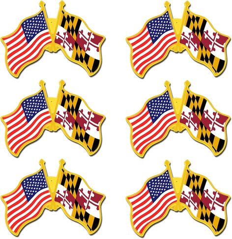 6/12/50/100 Pack -American Maryland State Friendship Flag Pins Bulk -1.4" Metal US USA Maryland MD Lapel Pins Badge Button Button Souvenir in Saudi Arabia