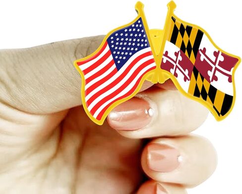 6/12/50/100 Pack -American Maryland State Friendship Flag Pins Bulk -1.4" Metal US USA Maryland MD Lapel Pins Badge Button Button Souvenir in Saudi Arabia