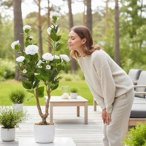 3FT Artificial Camellia Tree 1Pcs for Indoor Porch Decor, Realistic Faux Plant in Pot with White Flowers, 35" Tall Potted Greenery Fake Camellia Plant for Home Office Outdoor Patio Wedding Decor in Saudi Arabia
