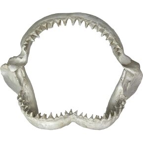 نسخة طبق الأصل من منحوتة جدار فك القرش - فكي قرش من الراتنج الواقعي مع أسنان، فن جداري بحري ساحلي أبيض اللون، ديكور بحري للمحيط للمنزل والمكتب ومنزل الشاطئ وكهف الرجال، 40.64 سم in Kuwait