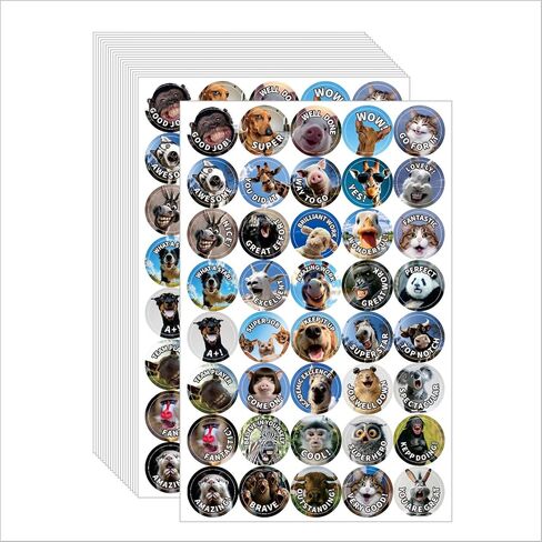 800 Pcs Funny Animal Meme Incentive Stickers, Teacher Reward Stickers for Classroom - 40 Vibrant Designs Motivational Positive Stickers - Encourage Kids to Do Chores, Go to The Toilet in Saudi Arabia