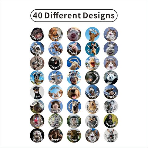 800 Pcs Funny Animal Meme Incentive Stickers, Teacher Reward Stickers for Classroom - 40 Vibrant Designs Motivational Positive Stickers - Encourage Kids to Do Chores, Go to The Toilet in Saudi Arabia