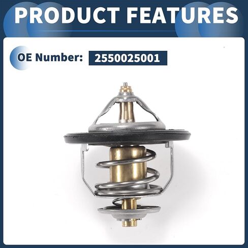 Car Thermostat, Engine Coolant Thermostats No.2550025001 for Kia Rondo 2.4L 2007-2009 Metal Silver Tone, 1 Pcs in Saudi Arabia