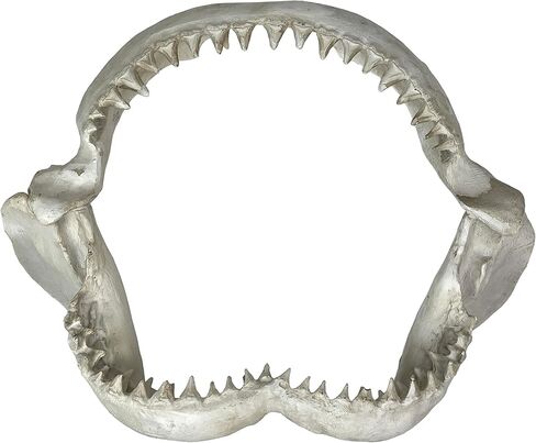 نسخة طبق الأصل من منحوتة جدار فك القرش - فكي قرش من الراتنج الواقعي مع أسنان، فن جداري بحري ساحلي أبيض اللون، ديكور بحري للمحيط للمنزل والمكتب ومنزل الشاطئ وكهف الرجال، 40.64 سم in Kuwait