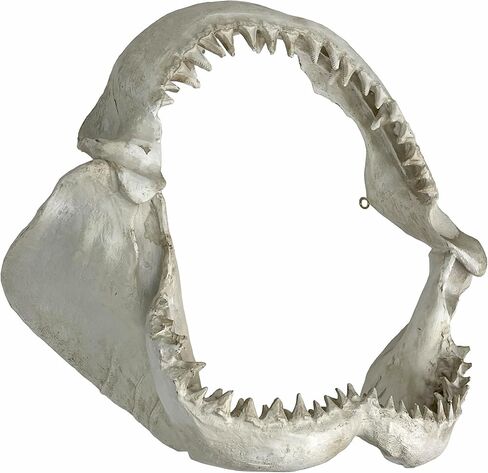 نسخة طبق الأصل من منحوتة جدار فك القرش - فكي قرش من الراتنج الواقعي مع أسنان، فن جداري بحري ساحلي أبيض اللون، ديكور بحري للمحيط للمنزل والمكتب ومنزل الشاطئ وكهف الرجال، 40.64 سم in Kuwait