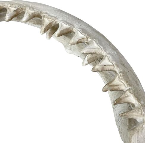 نسخة طبق الأصل من منحوتة جدار فك القرش - فكي قرش من الراتنج الواقعي مع أسنان، فن جداري بحري ساحلي أبيض اللون، ديكور بحري للمحيط للمنزل والمكتب ومنزل الشاطئ وكهف الرجال، 40.64 سم in Kuwait