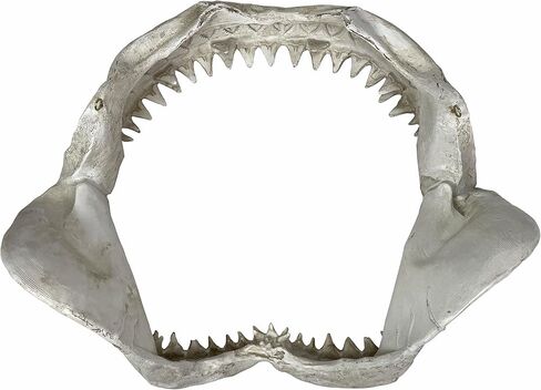 نسخة طبق الأصل من منحوتة جدار فك القرش - فكي قرش من الراتنج الواقعي مع أسنان، فن جداري بحري ساحلي أبيض اللون، ديكور بحري للمحيط للمنزل والمكتب ومنزل الشاطئ وكهف الرجال، 40.64 سم in Kuwait